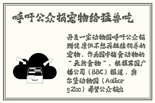 沈芯语奥澳门大象传媒